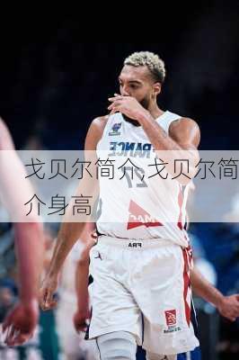 戈贝尔简介,戈贝尔简介身高