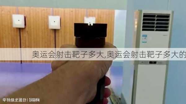 奥运会射击靶子多大,奥运会射击靶子多大的