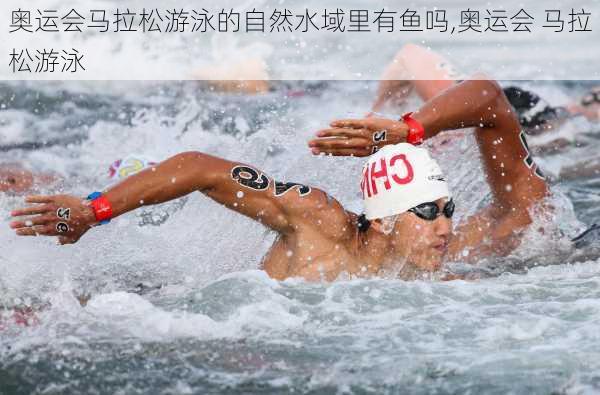 奥运会马拉松游泳的自然水域里有鱼吗,奥运会 马拉松游泳