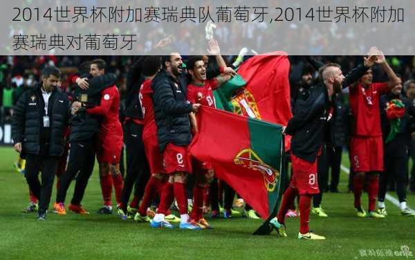 2014世界杯附加赛瑞典队葡萄牙,2014世界杯附加赛瑞典对葡萄牙
