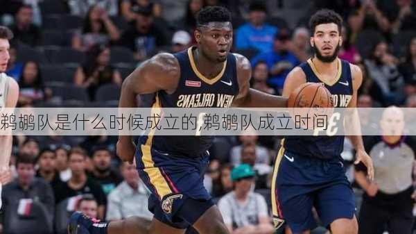 鹈鹕队是什么时候成立的,鹈鹕队成立时间