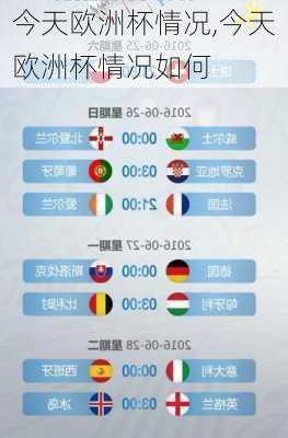 今天欧洲杯情况,今天欧洲杯情况如何