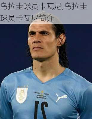 乌拉圭球员卡瓦尼,乌拉圭球员卡瓦尼简介