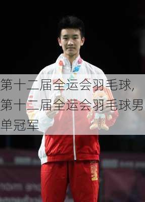 第十二届全运会羽毛球,第十二届全运会羽毛球男单冠军
