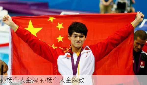 孙杨个人金牌,孙杨个人金牌数