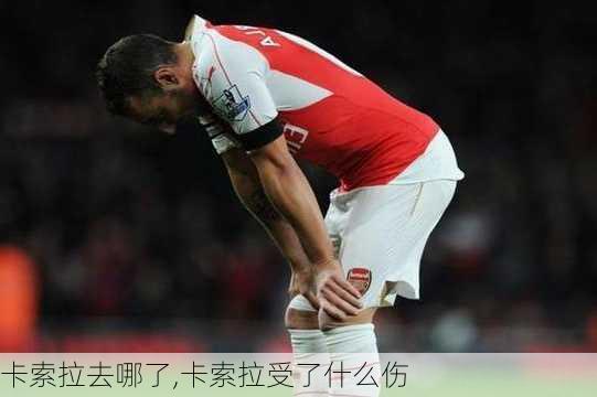 卡索拉去哪了,卡索拉受了什么伤