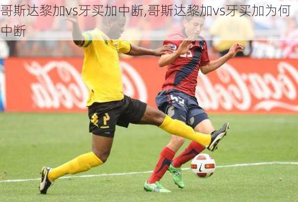 哥斯达黎加vs牙买加中断,哥斯达黎加vs牙买加为何中断