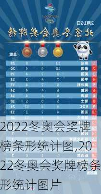 2022冬奥会奖牌榜条形统计图,2022冬奥会奖牌榜条形统计图片