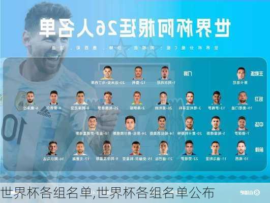 世界杯各组名单,世界杯各组名单公布