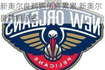 新奥尔良鹈鹕伤痕累累,新奥尔良鹈鹕原名