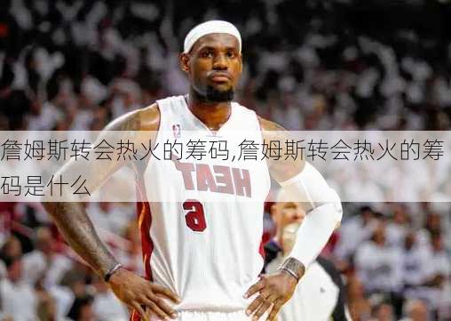 詹姆斯转会热火的筹码,詹姆斯转会热火的筹码是什么