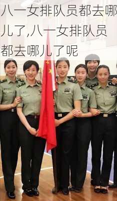 八一女排队员都去哪儿了,八一女排队员都去哪儿了呢