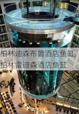 柏林迪森布鲁酒店鱼缸,柏林雷迪森酒店鱼缸