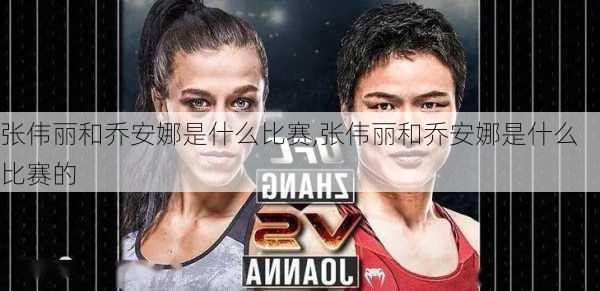 张伟丽和乔安娜是什么比赛,张伟丽和乔安娜是什么比赛的