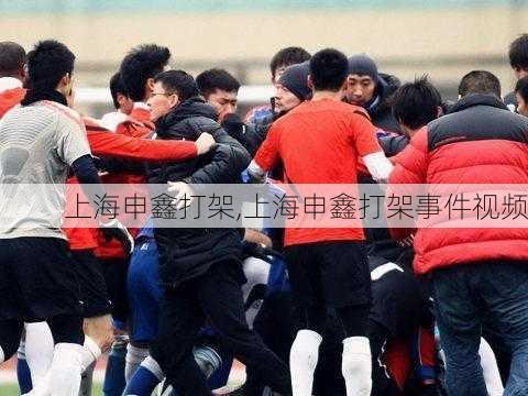 上海申鑫打架,上海申鑫打架事件视频