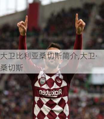 大卫比利亚桑切斯简介,大卫·桑切斯