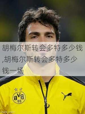 胡梅尔斯转会多特多少钱,胡梅尔斯转会多特多少钱一场