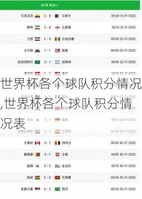 世界杯各个球队积分情况,世界杯各个球队积分情况表