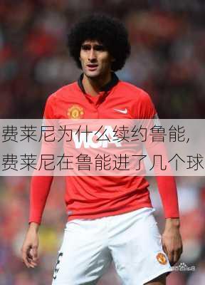 费莱尼为什么续约鲁能,费莱尼在鲁能进了几个球
