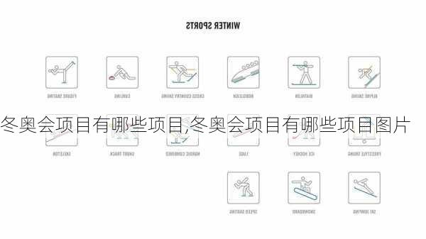 冬奥会项目有哪些项目,冬奥会项目有哪些项目图片