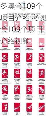 冬奥会109个项目介绍,冬奥会109个项目介绍视频