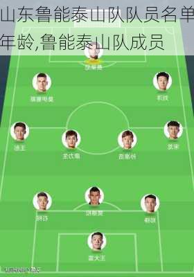 山东鲁能泰山队队员名单年龄,鲁能泰山队成员