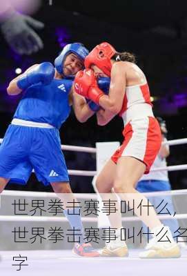 世界拳击赛事叫什么,世界拳击赛事叫什么名字