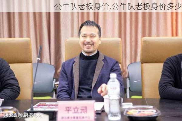 公牛队老板身价,公牛队老板身价多少