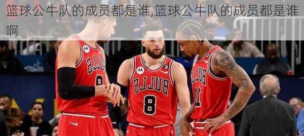 篮球公牛队的成员都是谁,篮球公牛队的成员都是谁啊