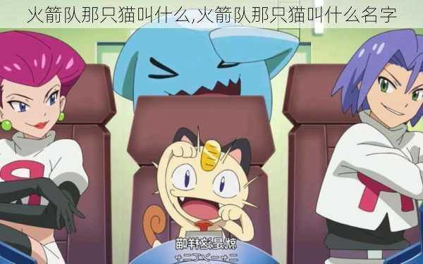 火箭队那只猫叫什么,火箭队那只猫叫什么名字