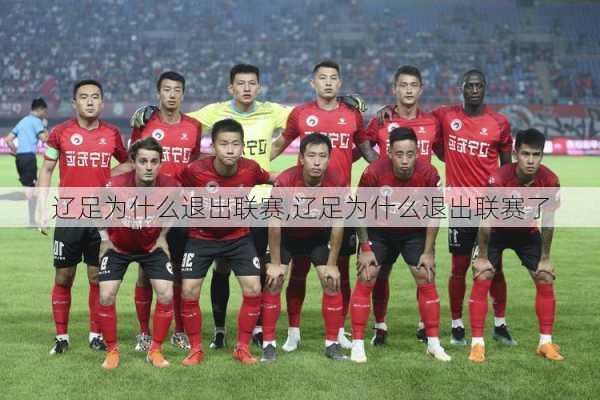 辽足为什么退出联赛,辽足为什么退出联赛了