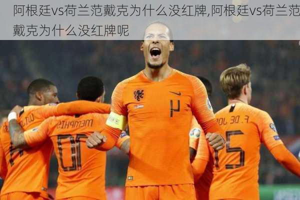 阿根廷vs荷兰范戴克为什么没红牌,阿根廷vs荷兰范戴克为什么没红牌呢