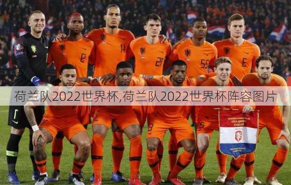 荷兰队2022世界杯,荷兰队2022世界杯阵容图片