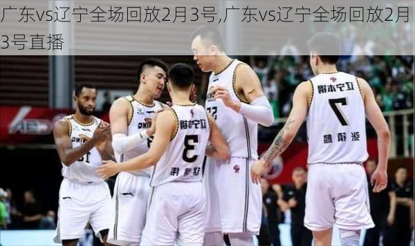 广东vs辽宁全场回放2月3号,广东vs辽宁全场回放2月3号直播
