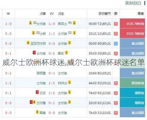 威尔士欧洲杯球迷,威尔士欧洲杯球迷名单