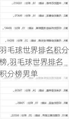 羽毛球世界排名积分榜,羽毛球世界排名积分榜男单