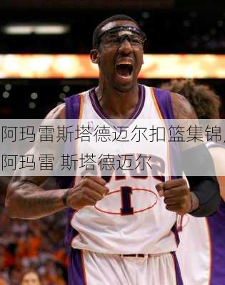 阿玛雷斯塔德迈尔扣篮集锦,阿玛雷 斯塔德迈尔