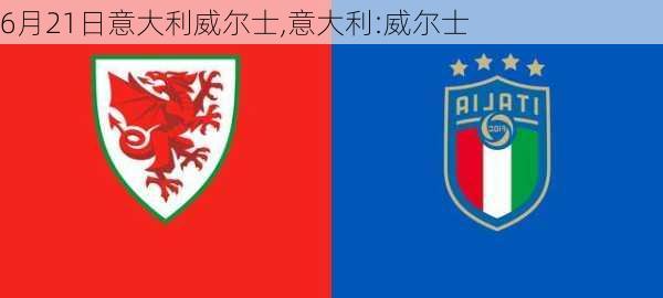 6月21日意大利威尔士,意大利:威尔士