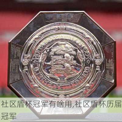 社区盾杯冠军有啥用,社区盾杯历届冠军