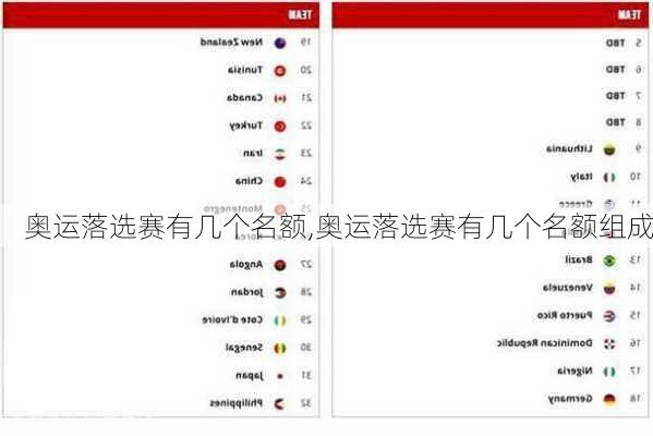 奥运落选赛有几个名额,奥运落选赛有几个名额组成