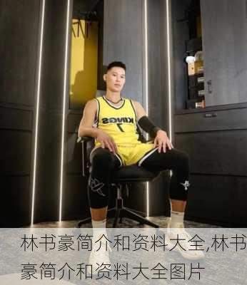 林书豪简介和资料大全,林书豪简介和资料大全图片