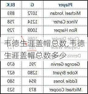 韦德生涯盖帽总数,韦德生涯盖帽总数多少