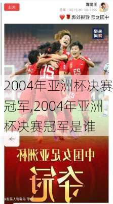 2004年亚洲杯决赛冠军,2004年亚洲杯决赛冠军是谁
