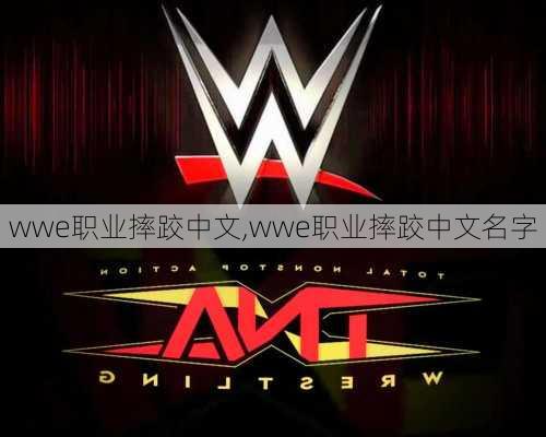 wwe职业摔跤中文,wwe职业摔跤中文名字