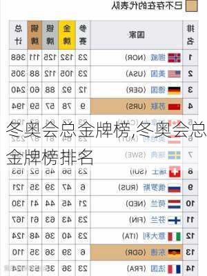 冬奥会总金牌榜,冬奥会总金牌榜排名