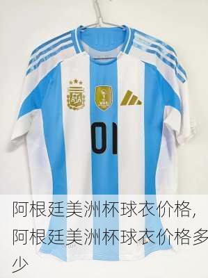 阿根廷美洲杯球衣价格,阿根廷美洲杯球衣价格多少