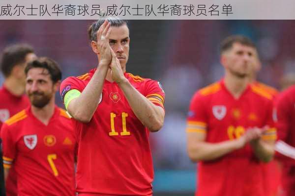 威尔士队华裔球员,威尔士队华裔球员名单