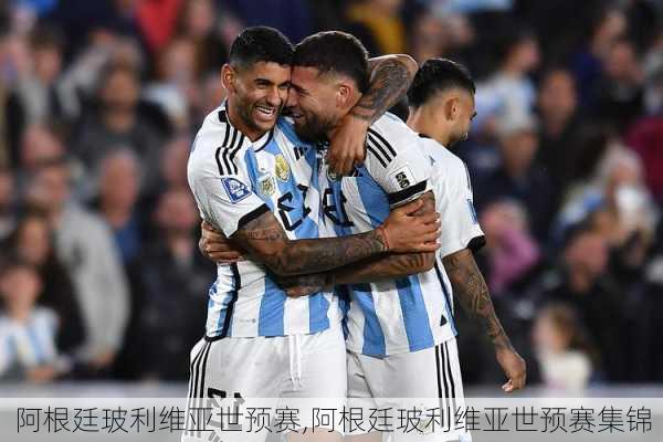 阿根廷玻利维亚世预赛,阿根廷玻利维亚世预赛集锦