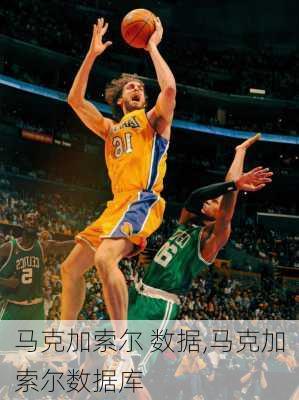 马克加索尔 数据,马克加索尔数据库