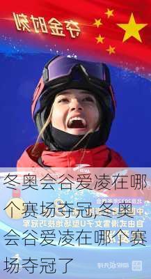 冬奥会谷爱凌在哪个赛场夺冠,冬奥会谷爱凌在哪个赛场夺冠了